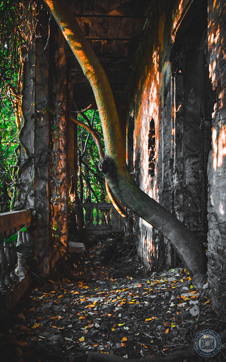 Architetture Brutaliste Abbandonate