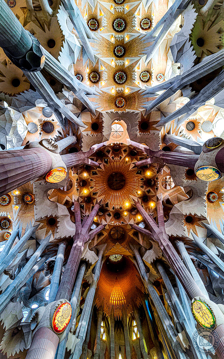 Sagrada Familia: intricate illuminated ceiling in Barcelona