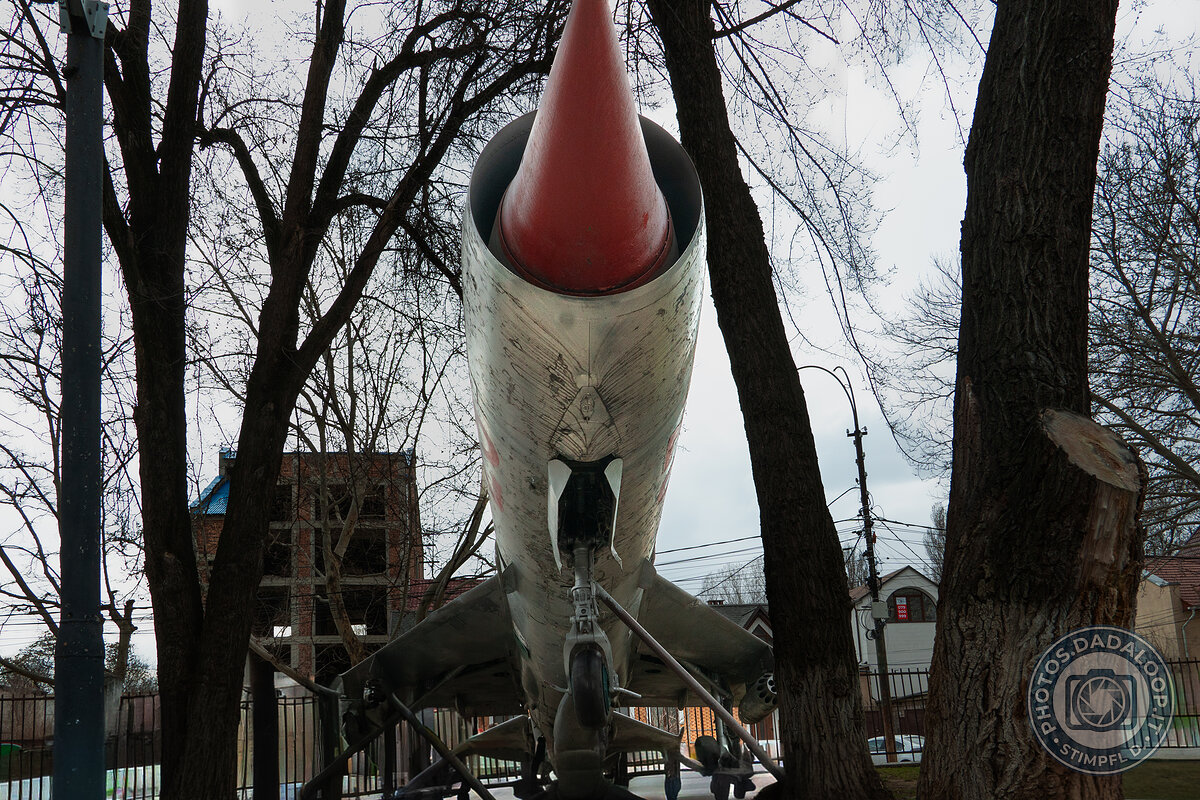 Nose of a warplane between bare trees
