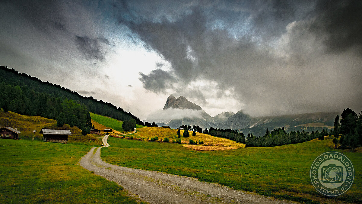 Foreste e sentieri
