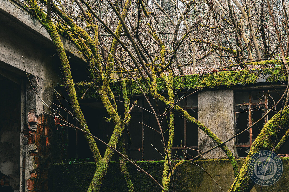 Natura che Riconquista