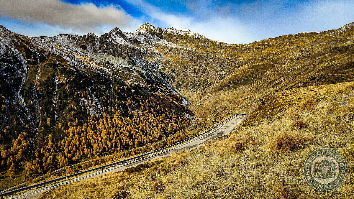 Mountain road between golden forests and snowy peaks