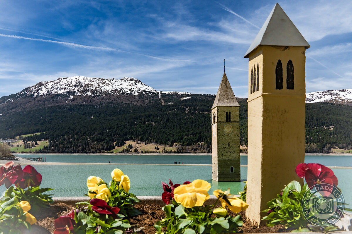 Campanile sommerso del Lago di Resia con fiori in primo piano e montagne