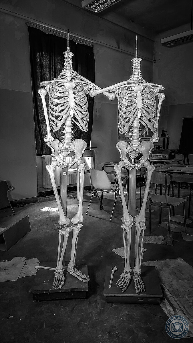 Scheletri in posa in un'aula abbandonata